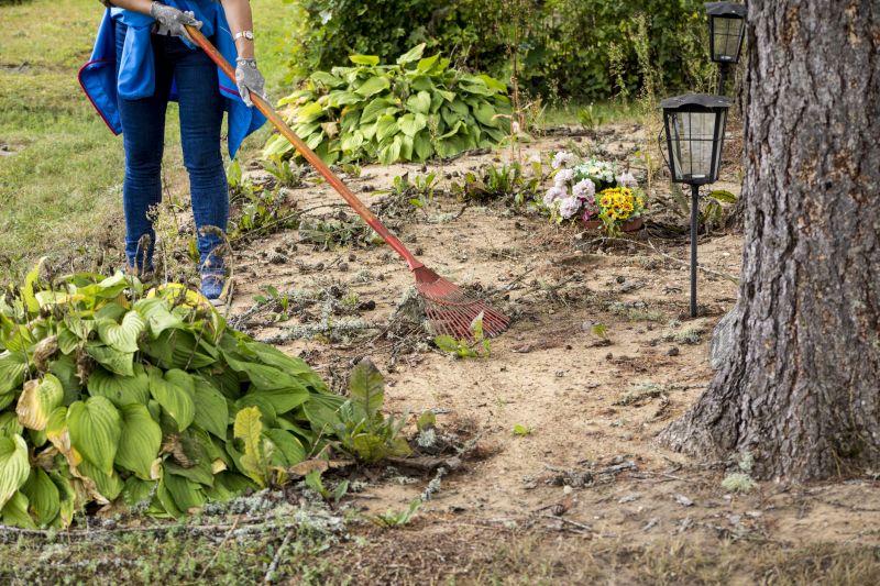 Land Clearing