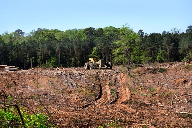 Land Clearing