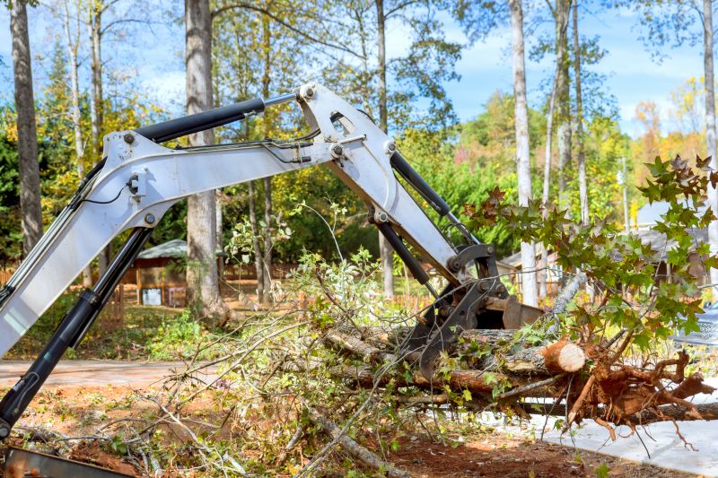 Land Clearing