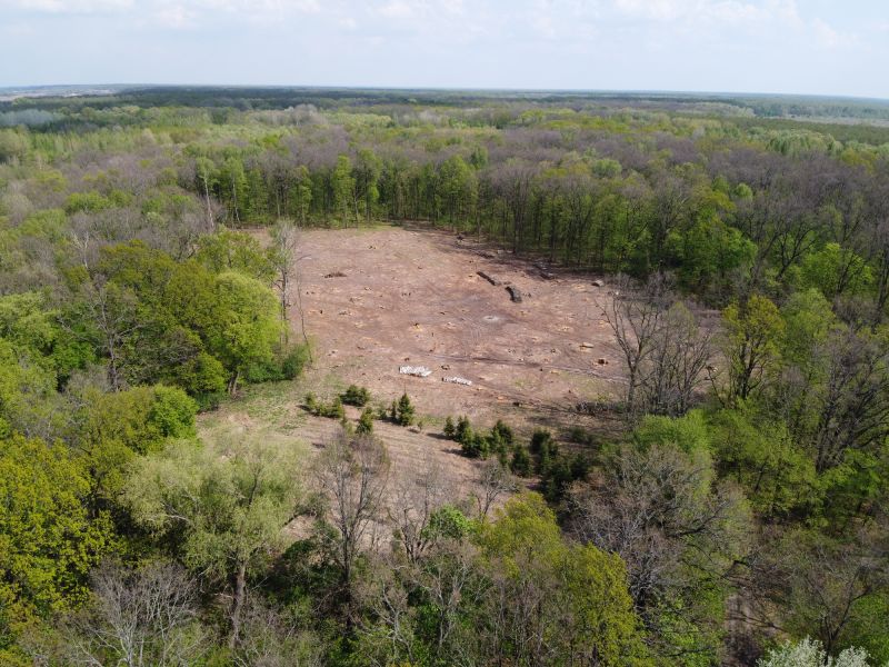 Commercial Land Clearing detail