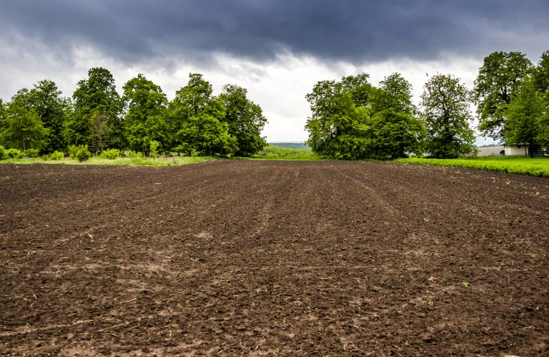 Commercial Land Clearing detail