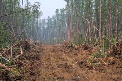 Commercial Site Preparation detail