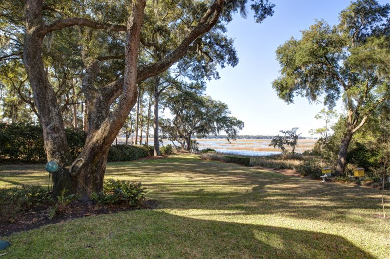 Lakefront Property Clearing