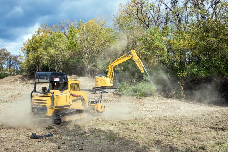 Land Clearing Crew at Work