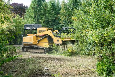 Local Land Clearing pros at work