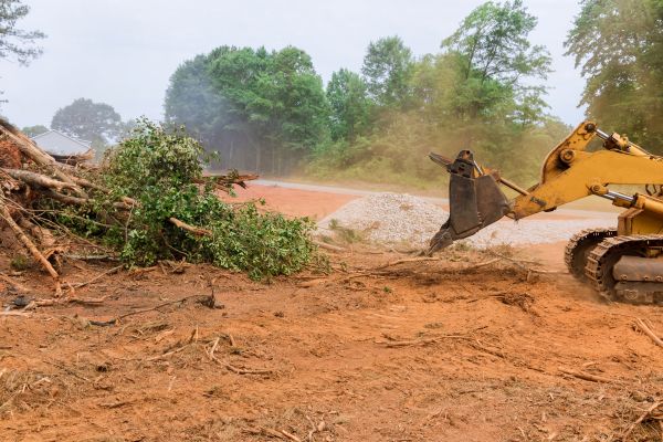 Cost of Ground Clearing in Conyers