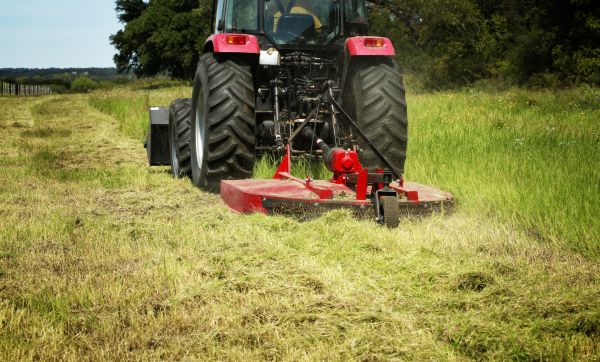 Cost of Brush Clearing Service in Conyers