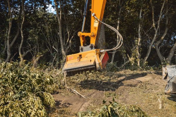 Cost of Brush Removal Service in Conyers