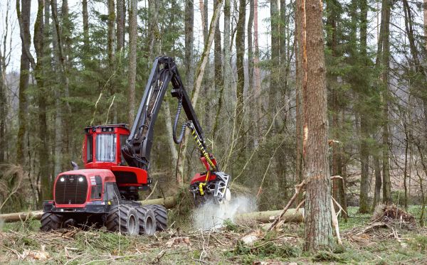 Cost of Forest Clearance Service in Conyers