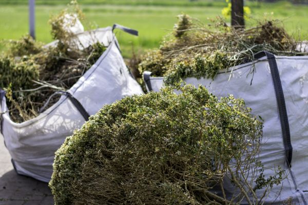 Cost of Bushes Clearing in Conyers