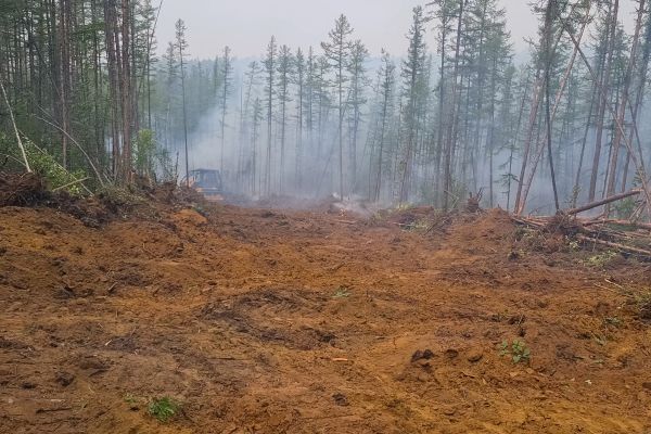 Cost of Hill Clearing in Conyers