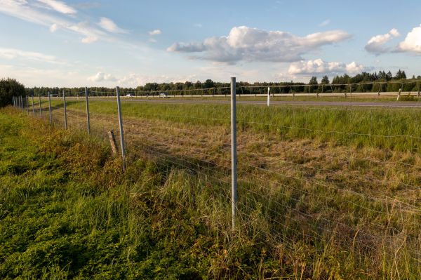 Cost of Property Line Clearing in Conyers