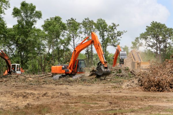 Cost of Commercial Lot Clearing in Conyers
